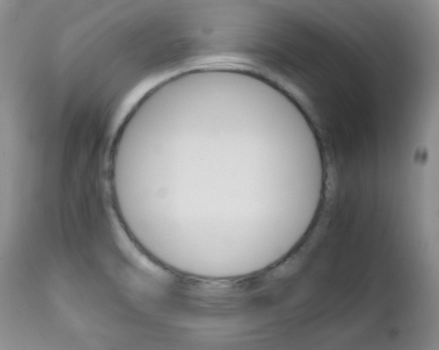 X0000112791470200908210926