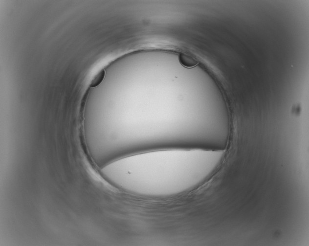 X0000112791471200908210926