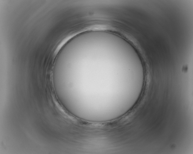 X0000112791473200908210926