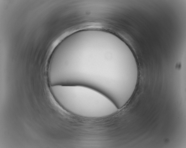 X0000112791475200908210926