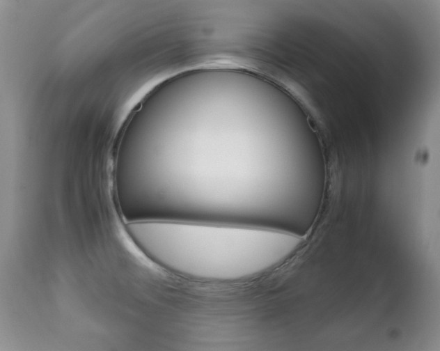 X0000112791476200908210926