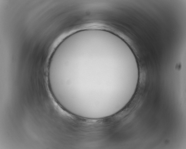 X0000112791478200908210926