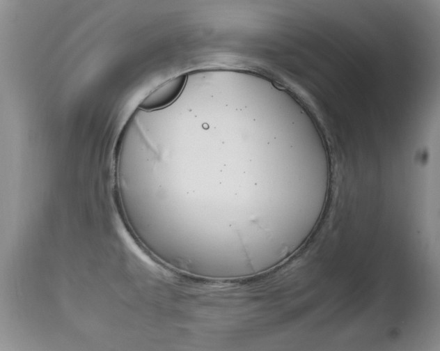 X0000112791479200908210926