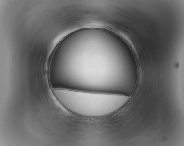 X0000112791480200908210926