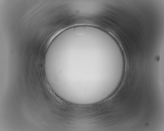 X0000112791481200908210926