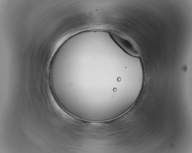 X0000112791483200908210926
