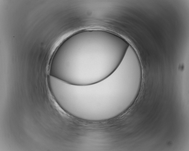 X0000112791485200908210926