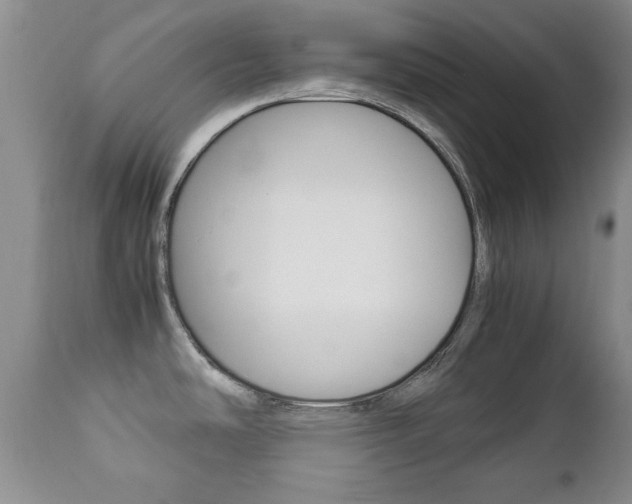 X0000112791486200908210926