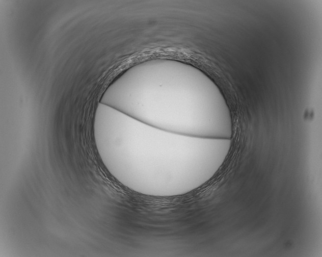 X0000112791489200908210925