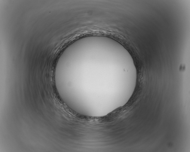 X0000112791490200908210926