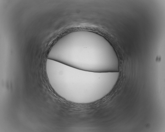 X0000112791493200908210926