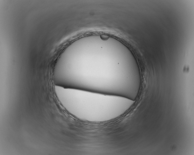 X0000112791494200908210926