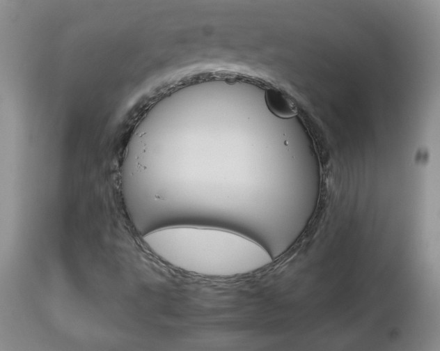X0000112791495200908210926