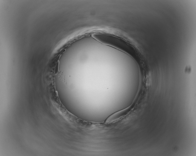 X0000112791496200908210926