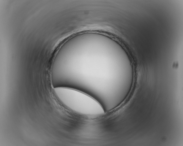 X0000112791497200908210926
