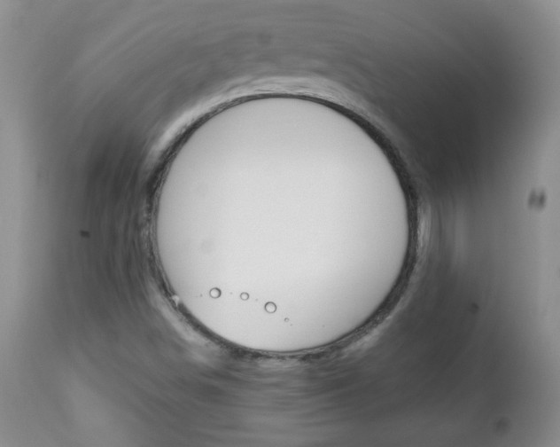 X0000112791498200908210926