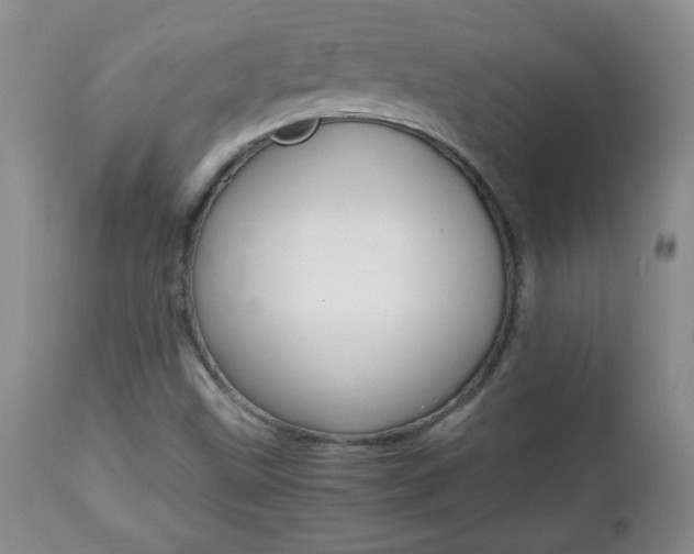 X0000112791499200908210926