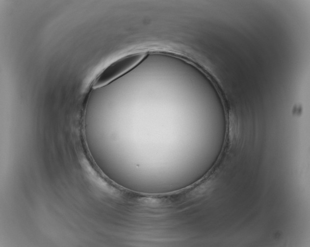 X0000112791500200908210926
