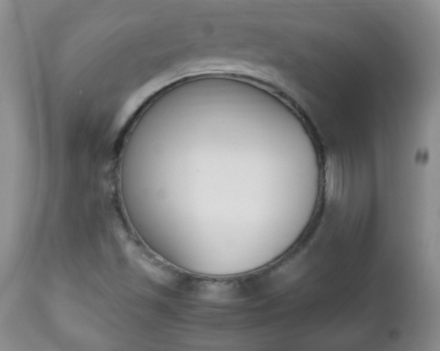 X0000112791501200908210926