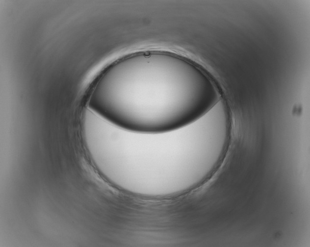 X0000112791502200908210926