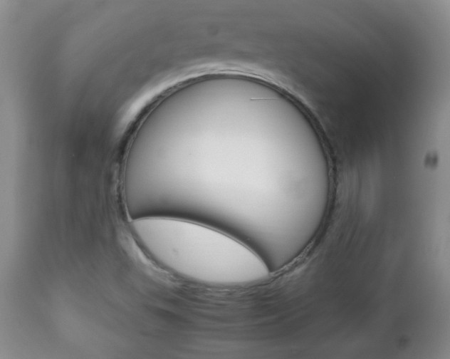 X0000112791503200908210926