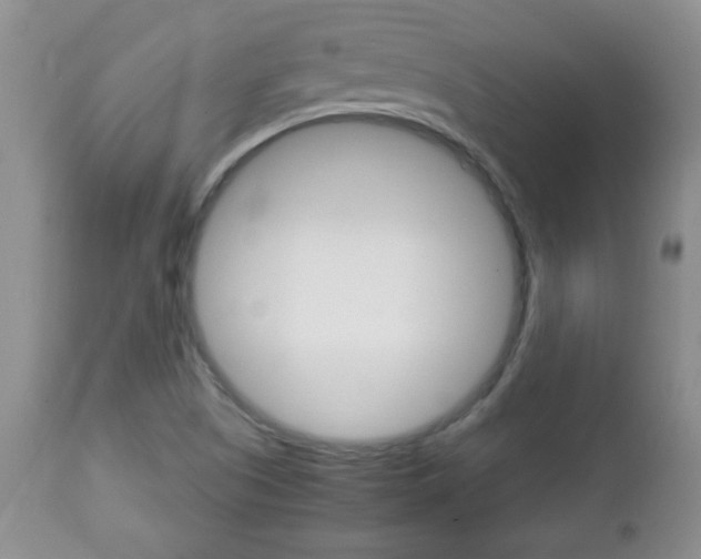 X0000112791505200908210926