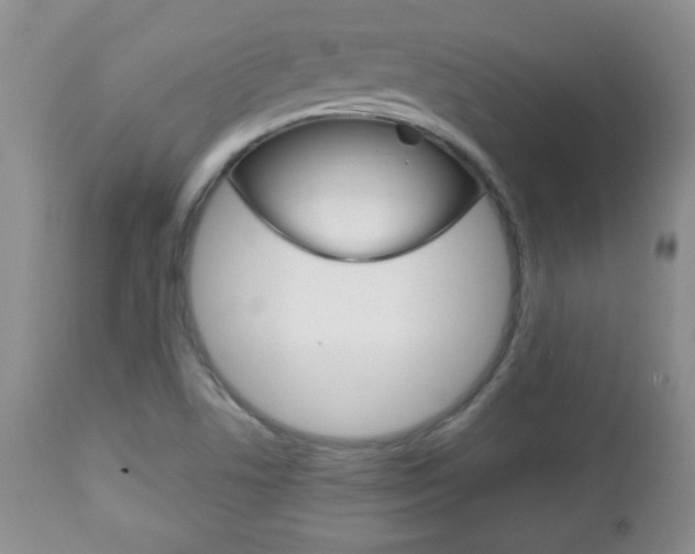X0000112791506200908210926