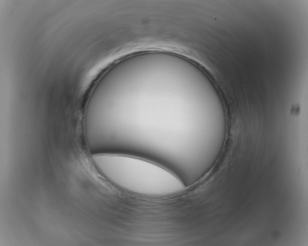 X0000112791507200908210926