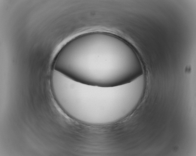 X0000112791508200908210926