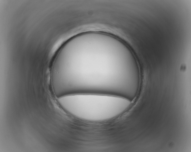 X0000112791509200908210926