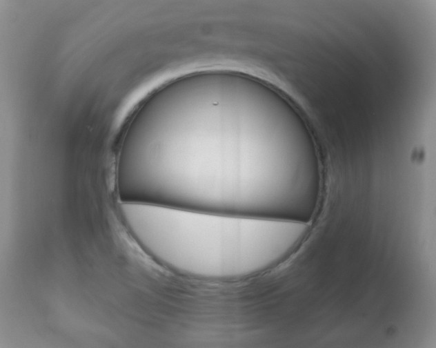 X0000112791510200908210926
