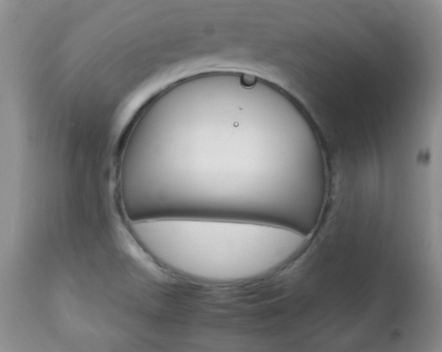 X0000112791511200908210926