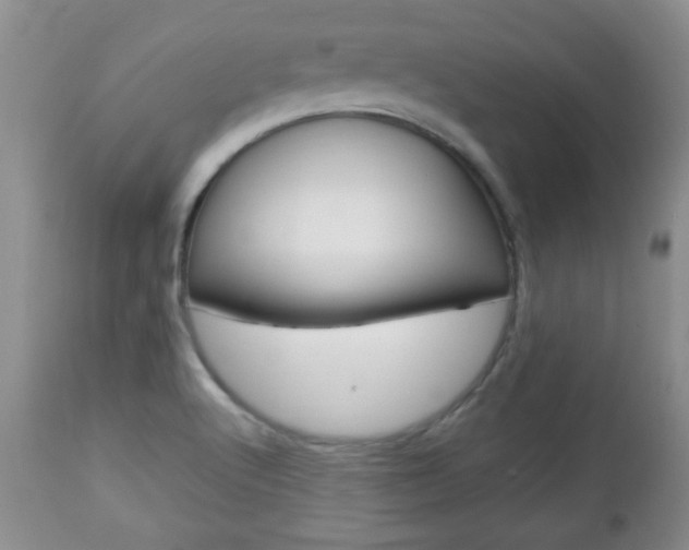 X0000112791512200908210926