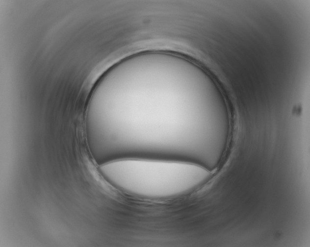 X0000112791513200908210926