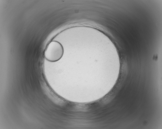 X0000112791514200908210926