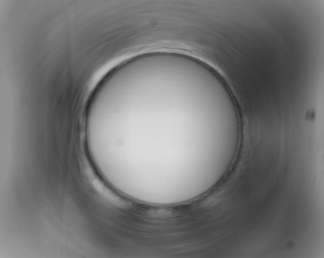 X0000112791515200908210926