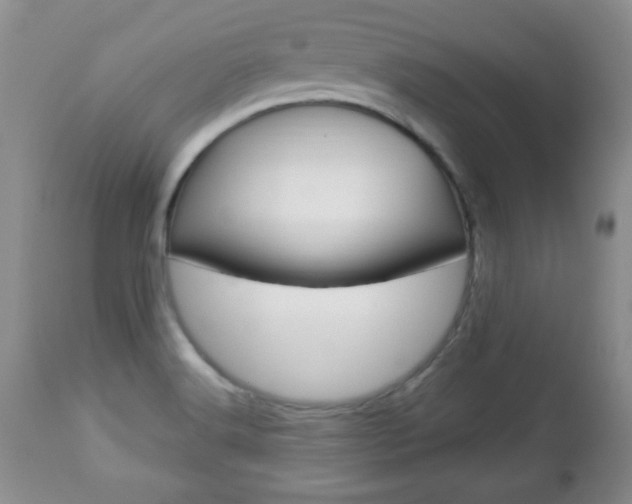 X0000112791516200908210926
