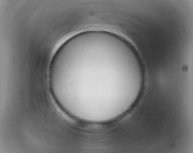 X0000112791517200908210926