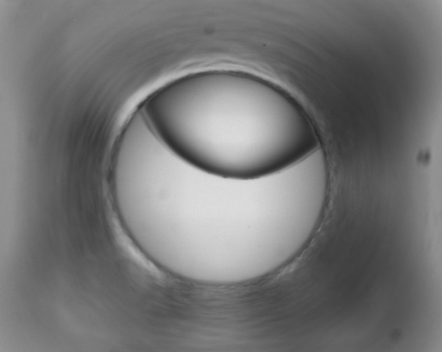 X0000112791518200908210926