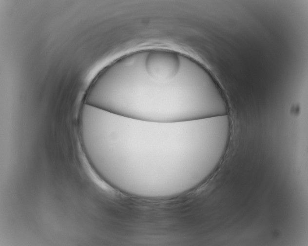 X0000112791519200908210926