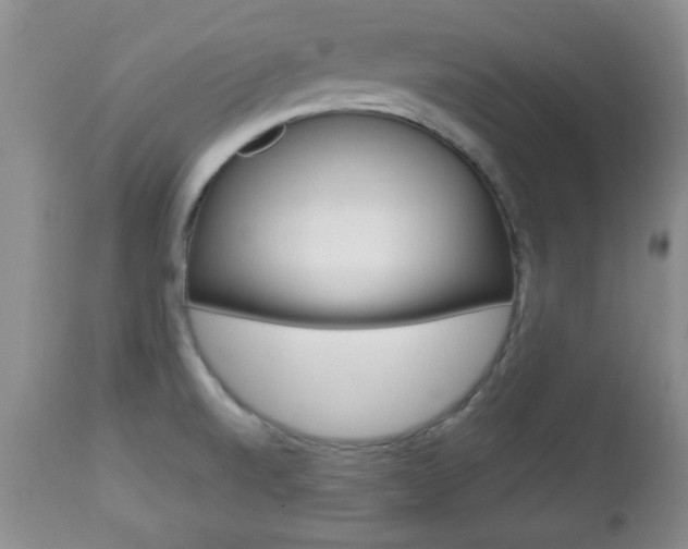X0000112791520200908210926