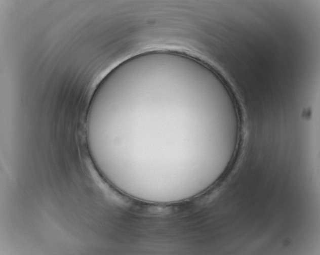 X0000112791521200908210926