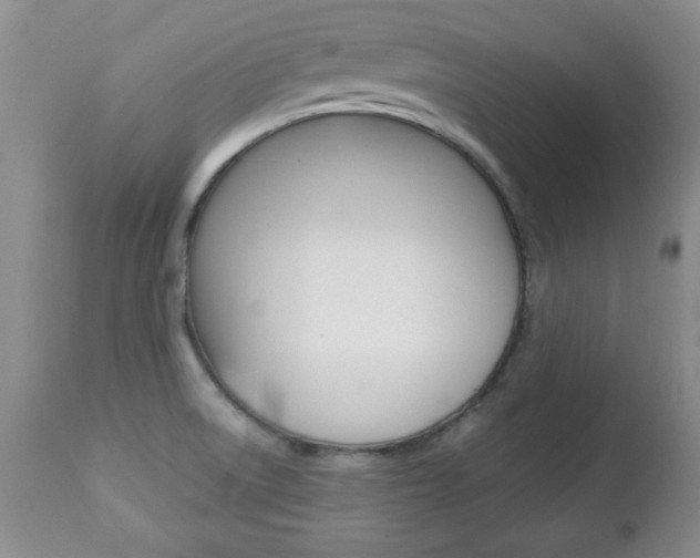 X0000112791522200908210926