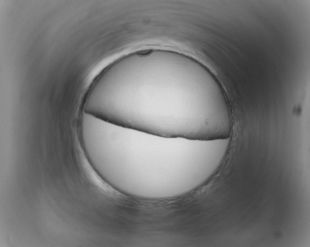 X0000112791523200908210926