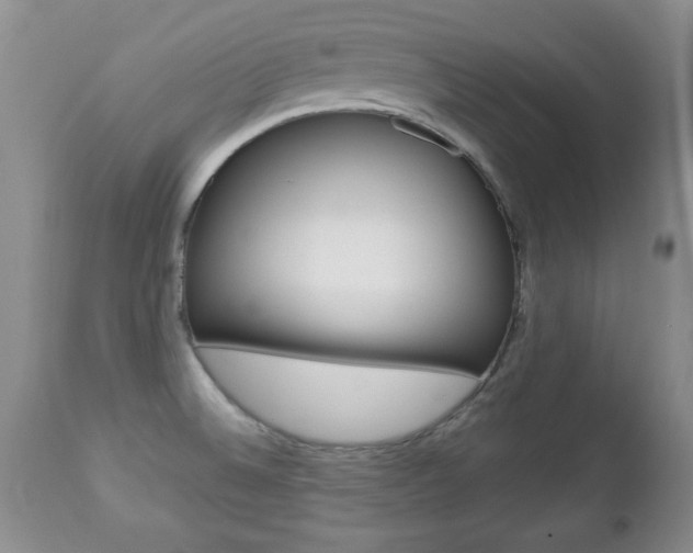 X0000112791524200908210926