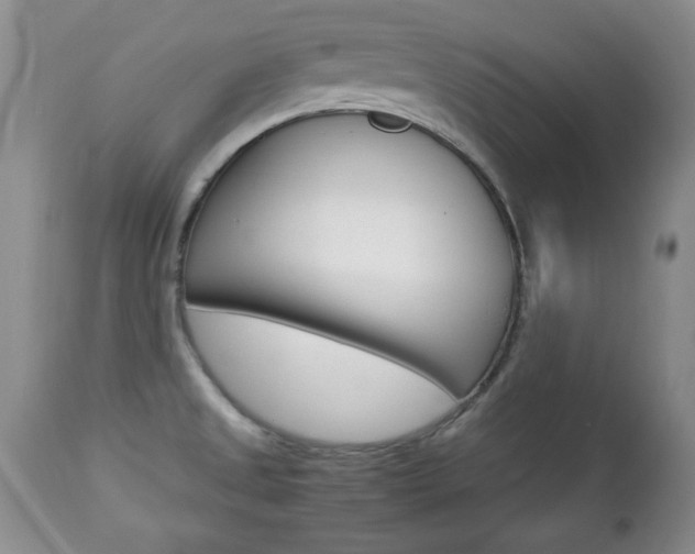 X0000112791525200908210926