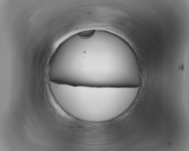 X0000112791526200908210926