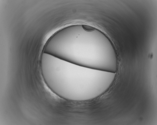 X0000112791527200908210926