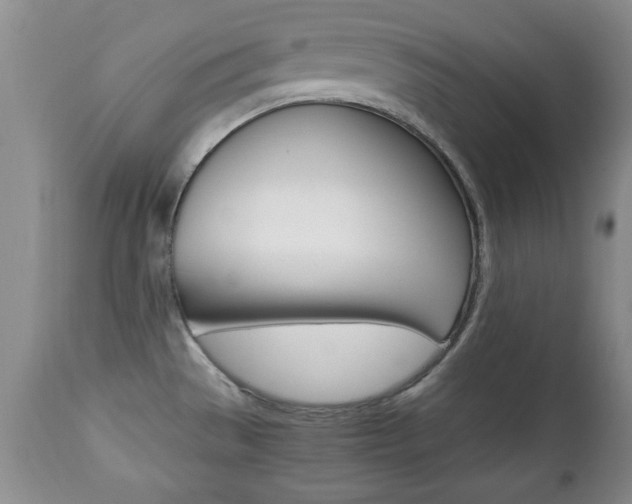 X0000112791529200908210926