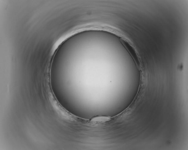X0000112791530200908210926